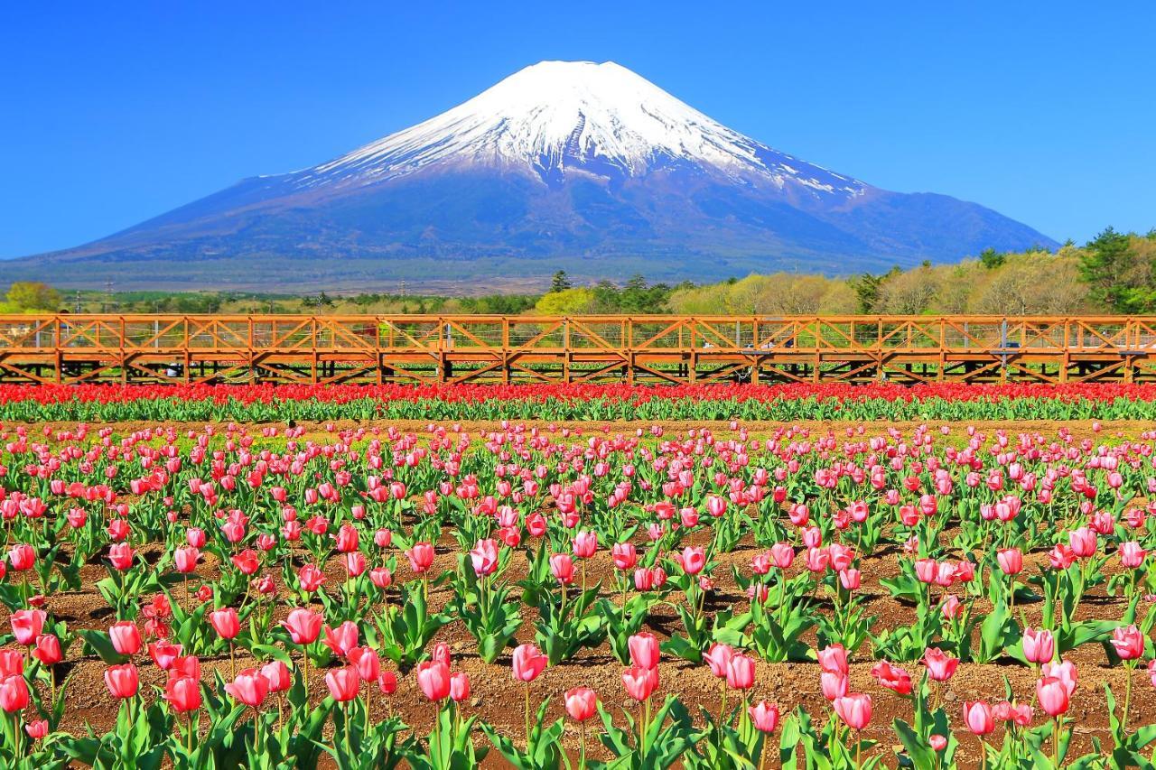 Hatago Tsubakiya Yamanakako Exterior foto